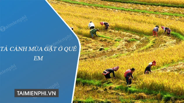 Tả Cảnh Mùa Hè Trên Quê Hương Em: Những Bức Tranh Thiên Nhiên Tuyệt Đẹp