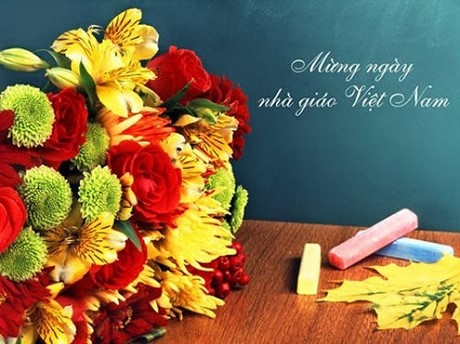 Những mẫu thiệp 20/11 handmade hoa đồng nội đẹp ngất ngây tặng thầy cô giáo
