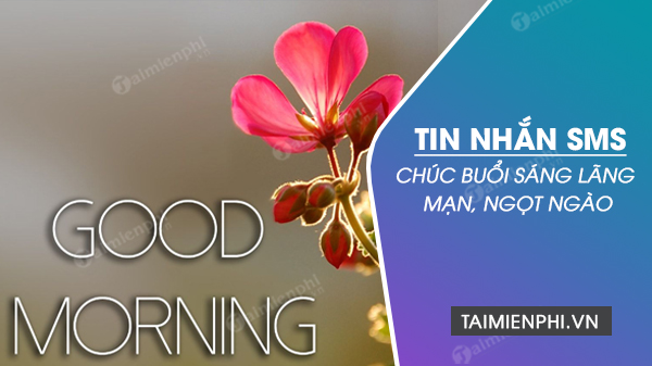 Tin nhắn chào buổi sáng số 1 Mỗi bình minh là cơ hội mới hãy mở trái tim để đón nhận những điều tốt lành trong ngày mới Chúc bạn có một buổi sáng tràn đầy năng lượng và hạnh phúc