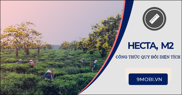 1 Hecta bằng bao nhiêu mét vuông, cách chuyển đổi hecta sang mét vuông ...