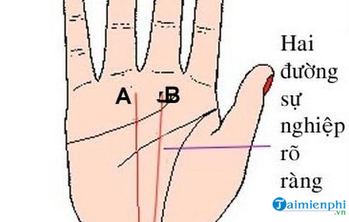 Khám phá bí mật xem bói chỉ tay và vân tay để hiểu rõ vận mệnh nam giới