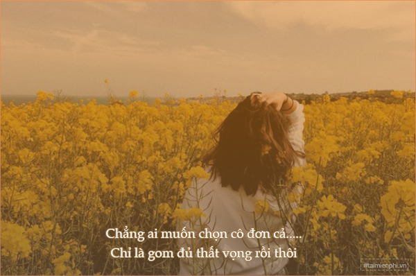 Những câu chuyện đau lòng về tình yêu, cuộc sống và gia đình, được chia sẻ qua những chương trình ngắn tuyệt vời