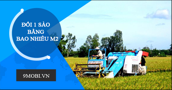 Khám phá bí mật 1 sào bằng diện tích bao nhiêu mét vuông