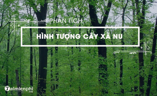 Đánh giá sâu hơn về hình tượng của cây xà nu trong tác phẩm Rừng xà nu