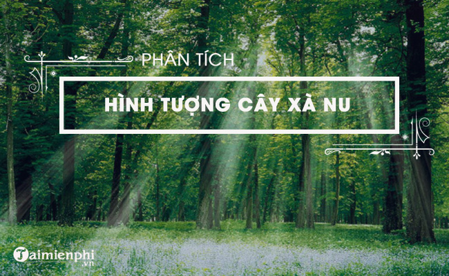 Đánh giá sâu hơn về hình tượng của cây xà nu trong tác phẩm Rừng xà nu