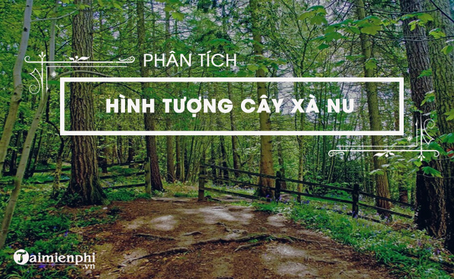 Đánh giá sâu hơn về hình tượng của cây xà nu trong tác phẩm Rừng xà nu