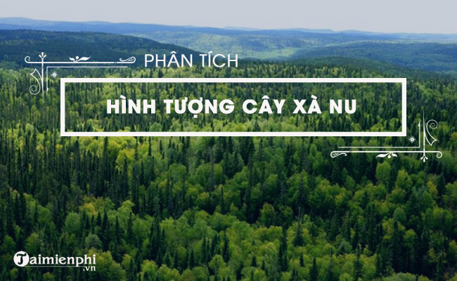 Đánh giá sâu hơn về hình tượng của cây xà nu trong tác phẩm Rừng xà nu