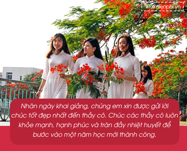 Chúc mừng năm học mới, những lời chúc đặc sắc về ngày khai giảng