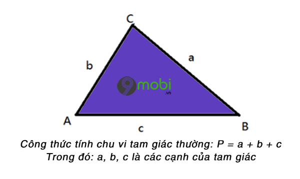 Tính diện tích tam giác đều và tam giác cân