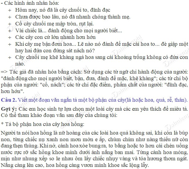 Ôn Tập Về Tả Cây Cối: Kỹ Năng Miêu Tả Cây Độc Đáo Và Sáng Tạo