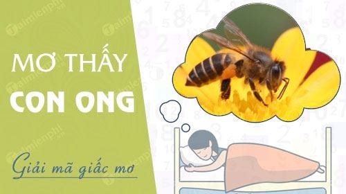 Mơ thấy con ong mơ thấy ong đốt tổ ong mật