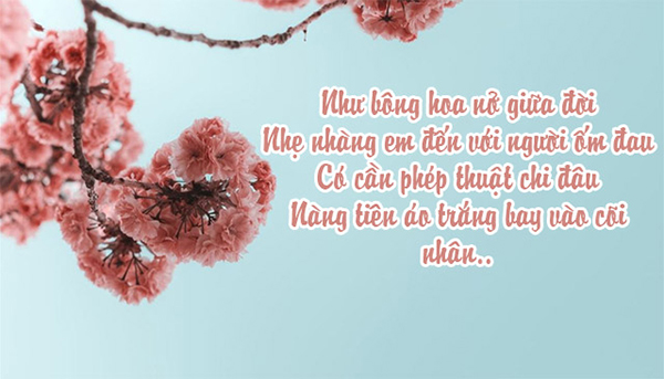 Ảnh chúc mừng 27/2, Ngày thầy thuốc Việt Nam