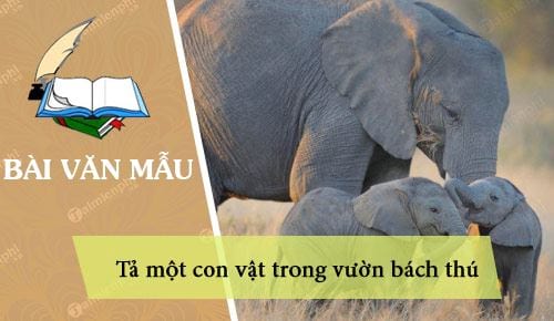 Tả con vật trong sở thú lớp 4 - Hướng dẫn chi tiết và ví dụ sinh động