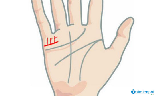 Phương pháp đọc chỉ tay, vân tay hiệu quả nhất cho phụ nữ