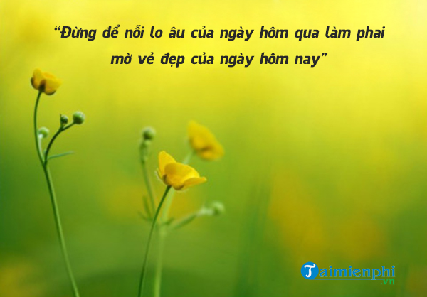 Chúc mừng bạn đã bắt đầu một ngày mới, đầy ắp cơ hội và thách thức. Hãy để những thông điệp chào ngày mới dưới đây là nguồn động viên, giúp bạn vượt qua mọi khó khăn và điều tuyệt vời nhất sẽ đến với bạn.