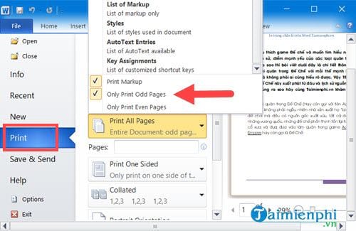 Bí quyết in trang số chẵn lẻ trên Word