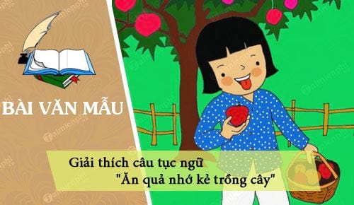 Câu Tục Ngữ Ăn Quả Nhớ Kẻ Trồng Cây: Giá Trị và Bài Học Sâu Sắc