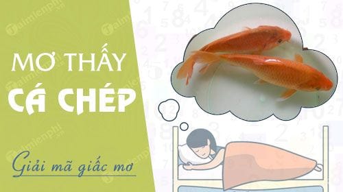 Nằm mơ thấy cá chép cá chép đỏ vàng biến thành rồng hay thậm chí chết đi