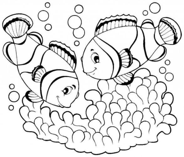 Tranh tô màu các loài cá đẹp đơn giản đến nâng cao cho bé tập tô - Xetreem