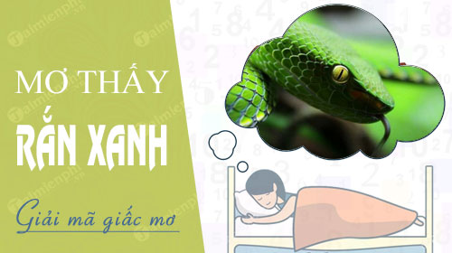 Mơ Thấy Rắn Lục Xanh Đánh Con Gì?