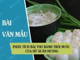 5 bài văn Phân tích bài thơ Bánh trôi nước của Hồ Xuân Hương