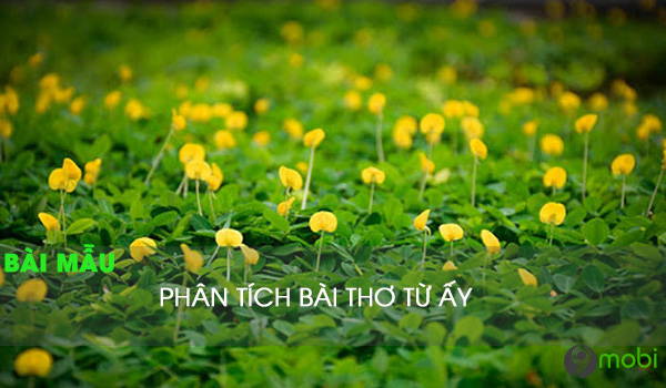 Phân tích bài thơ Từ ấy - Hành trình chấm dứt lẻ loi