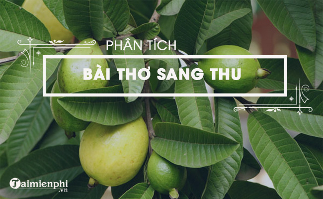 Phân tích bài thơ Sang thu của Hữu Thỉnh