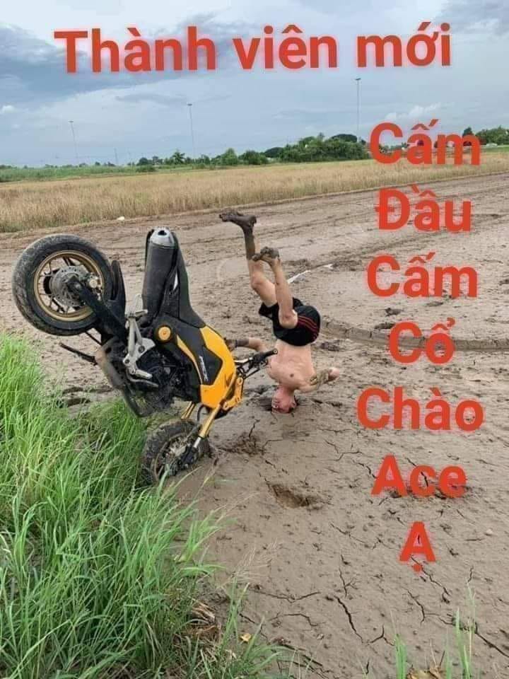 999+ Bình luận hình ảnh đỉnh cao