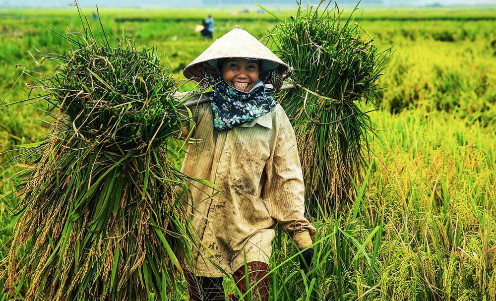 Hình ảnh người mẹ già tần tảo đẹp và ý nghĩa