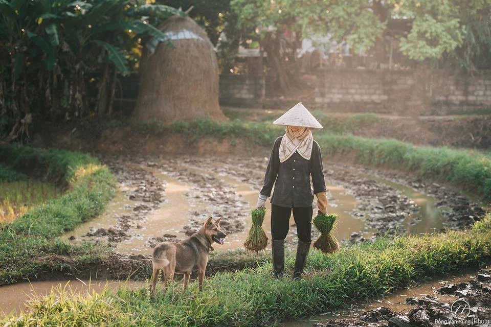 Hình ảnh người mẹ già tần tảo đẹp và ý nghĩa