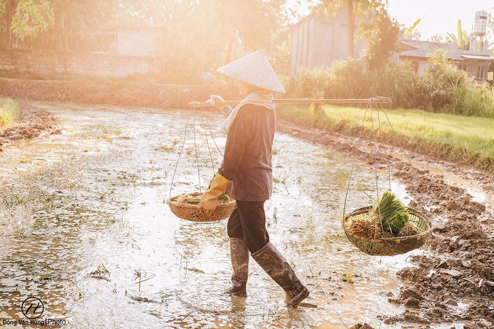 Hình ảnh người mẹ già tần tảo đẹp và ý nghĩa