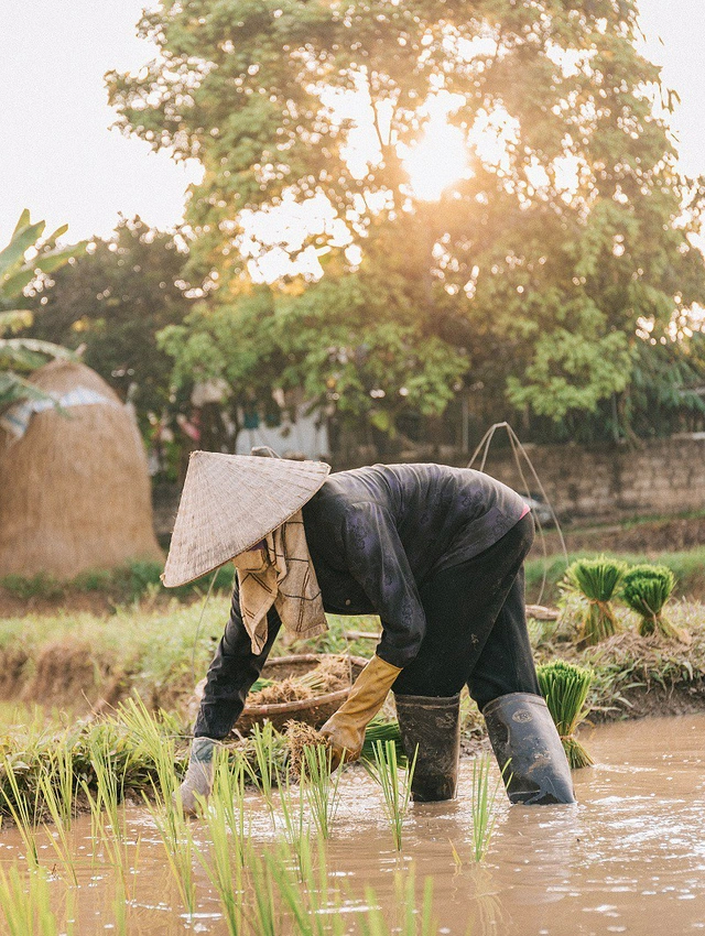 Hình ảnh người mẹ già tần tảo đẹp và ý nghĩa