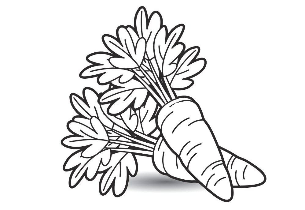 Vẽ Củ Cà Rốt/How to draw a Carrot/THƯ VẼ - YouTube