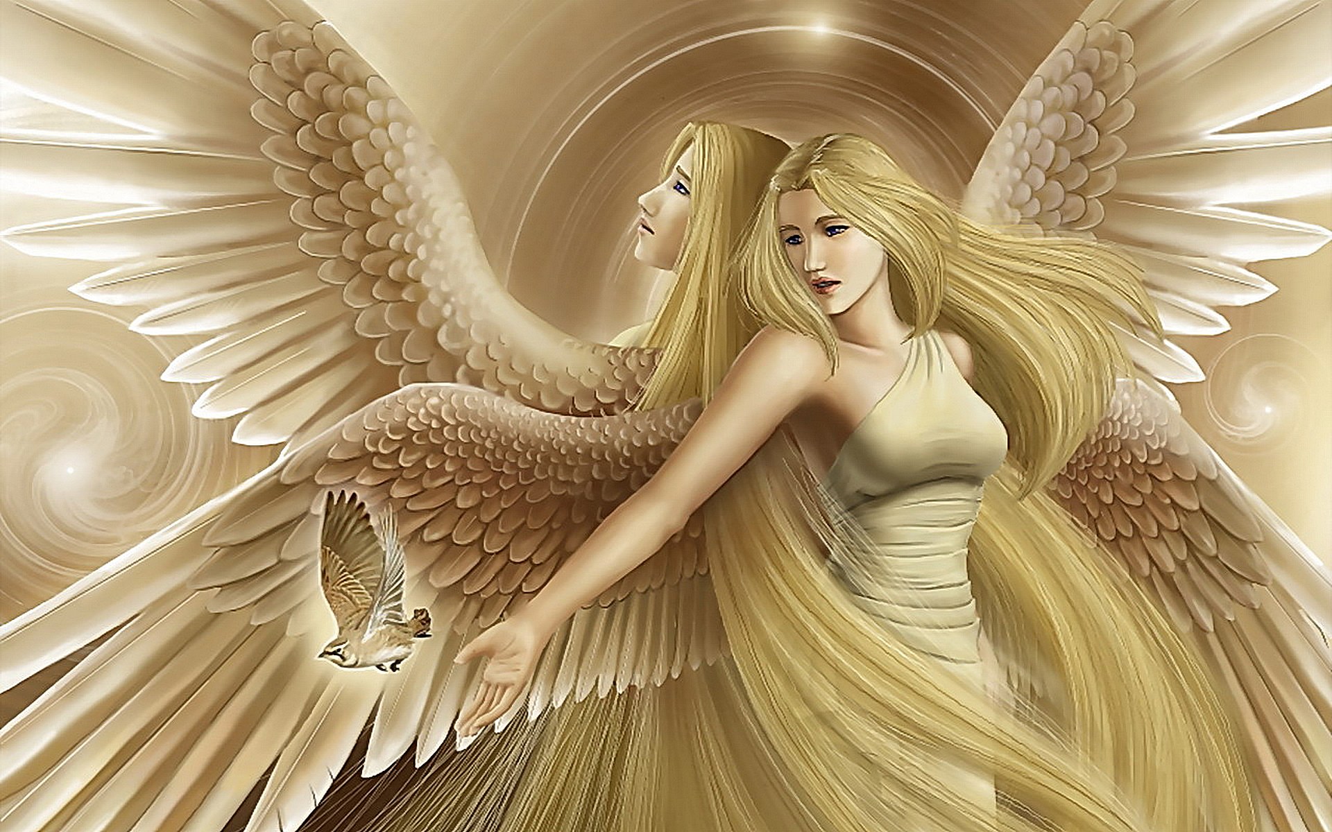Hình ảnh Thiên Thần đẹp nhất | Angel wallpaper, Angel pictures, Free angel
