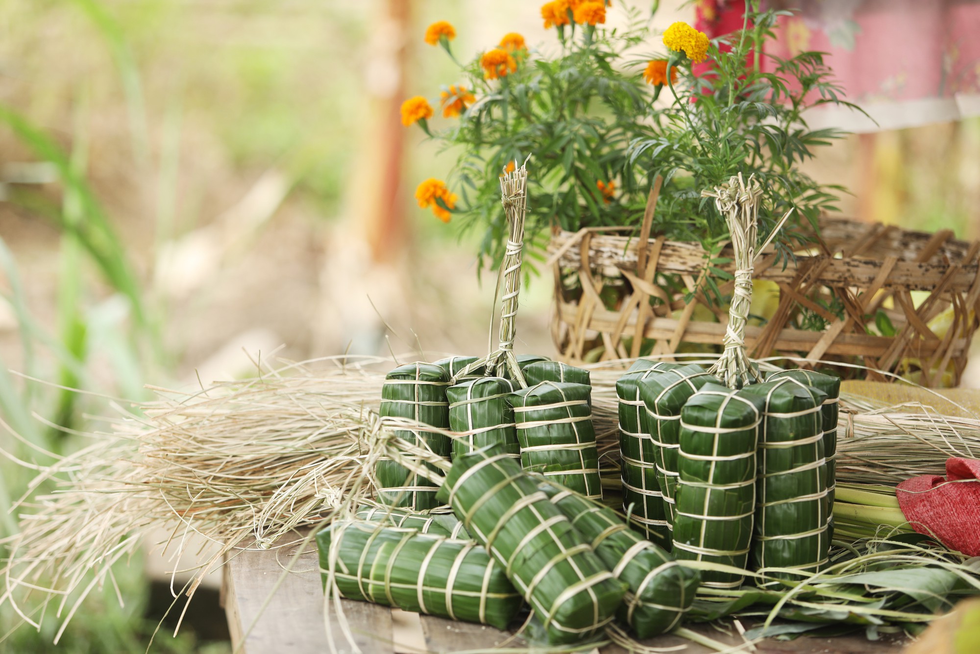 Bánh chưng trong vẻ đẹp tuyệt vời