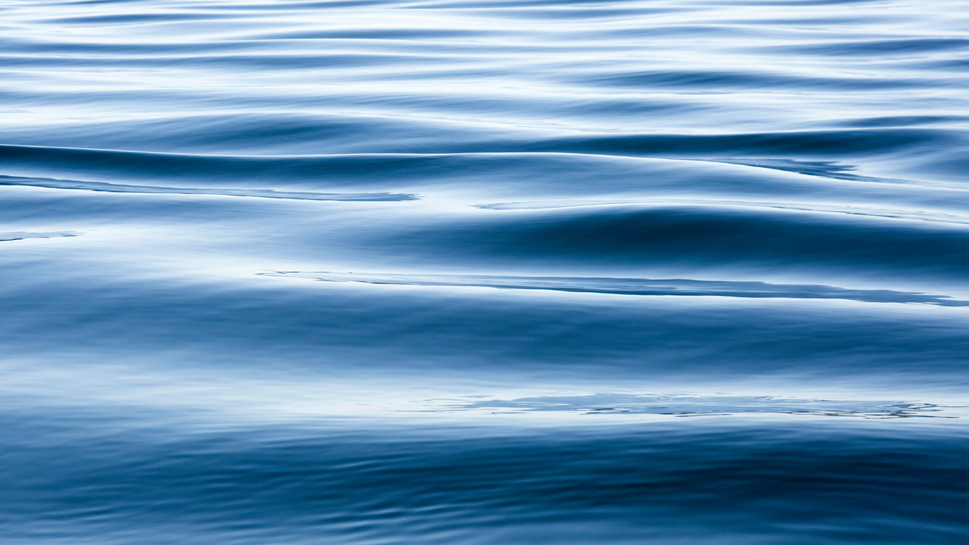 Nền dưới nước, mặt nước, đại: Vector có sẵn (miễn phí bản quyền) 1445522549  | Shutterstock