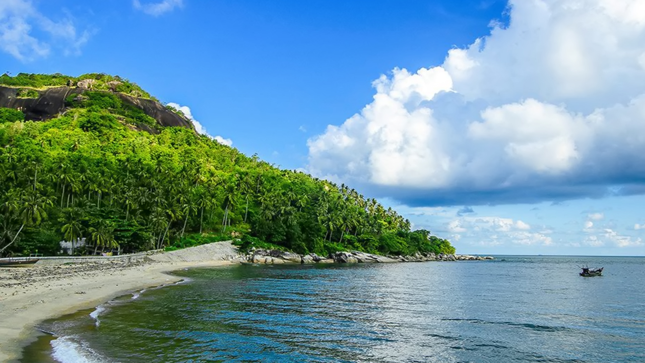 Bức Tranh Quê Hương Tinh Khoi