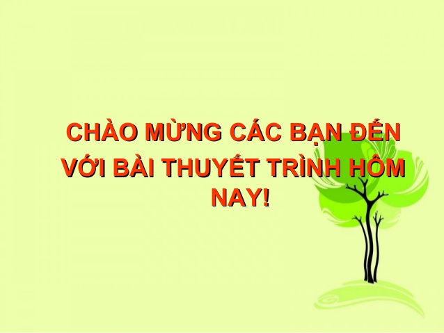 Khám phá vẻ đẹp tuyệt vời của slide mở đầu