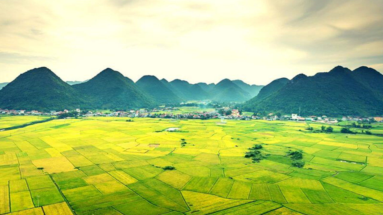 Bức Tranh Quê Hương Tinh Khoi