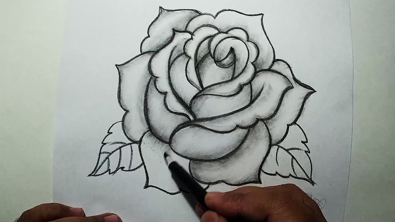 Nghệ thuật vẽ hoa hồng bằng bút chì - Nét đẹp tinh tế của nghệ sĩ