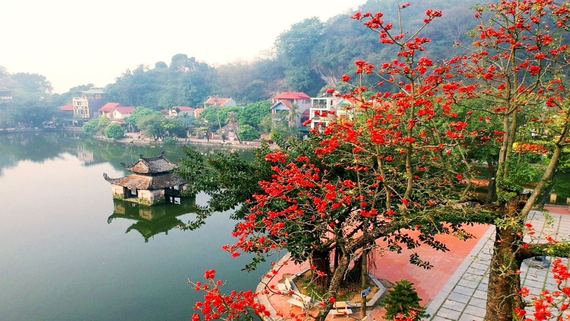 Bức Tranh Quê Hương Tinh Khoi