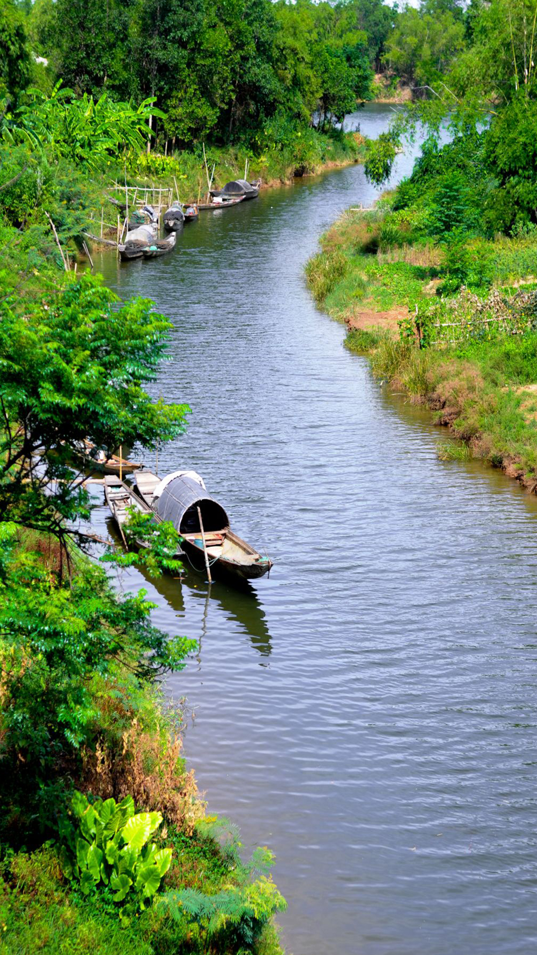 Bức Tranh Quê Hương Tinh Khoi