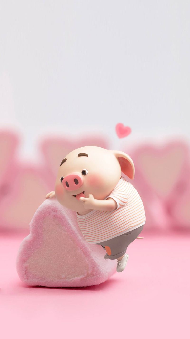 99+ ảnh con lợn cute đáng yêu gần gũi nhất quả đất | Seotrends.com.vn