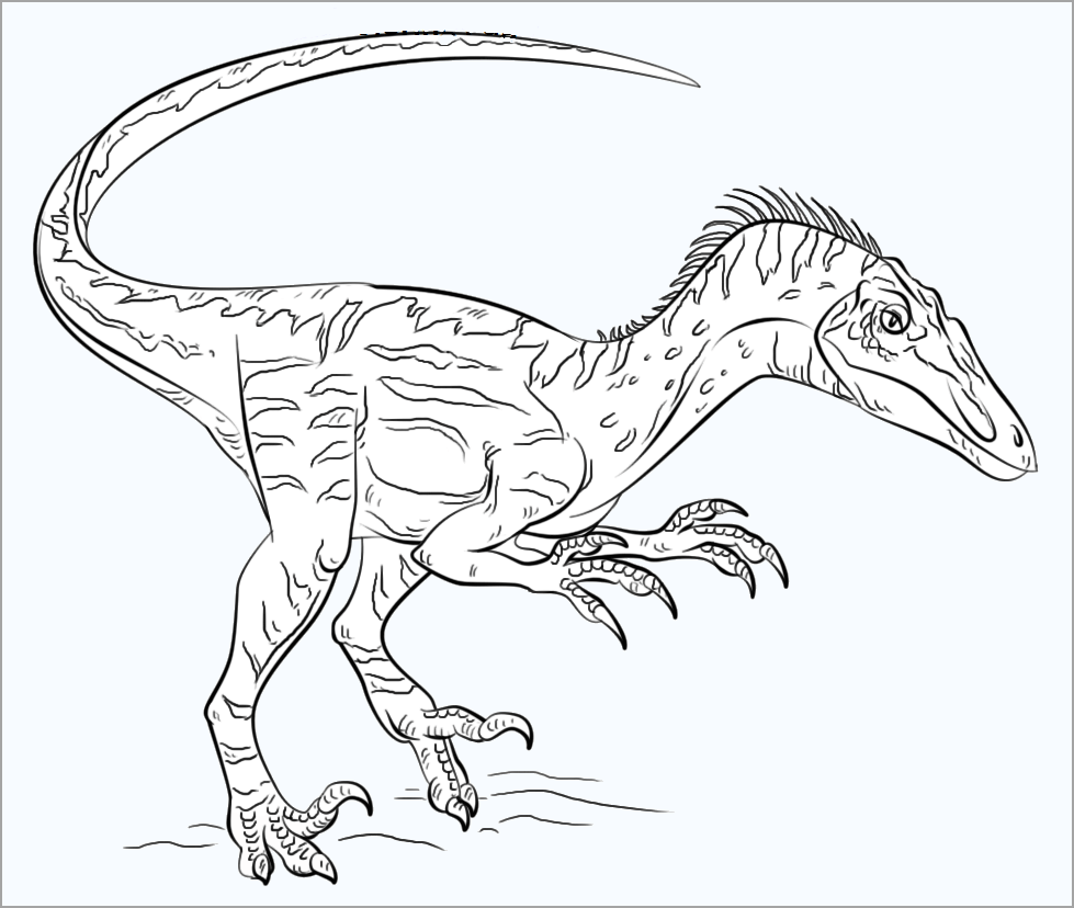 Tranh tô màu khủng long cơ bản « in hình này