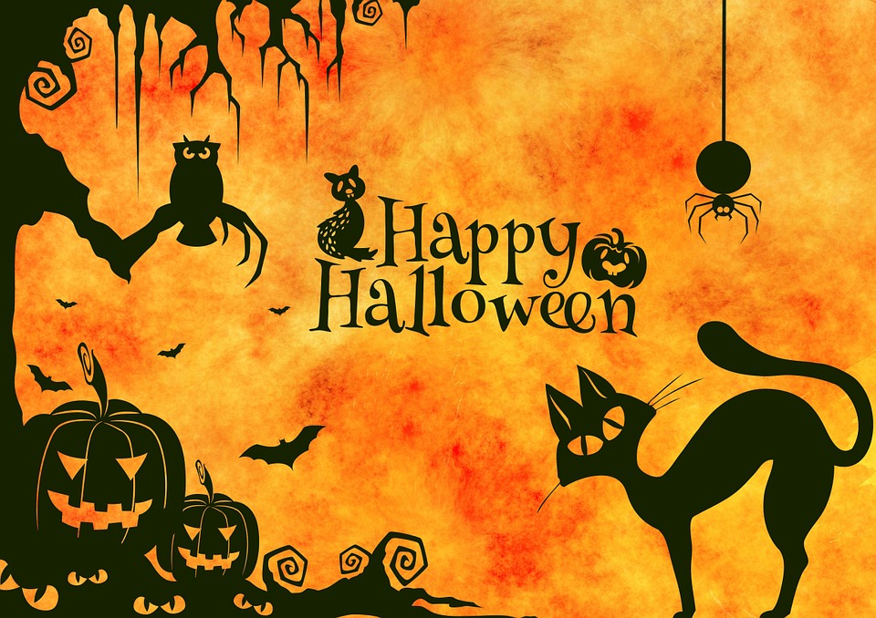 Hình ảnh Halloween - Bộ sưu tập những hình ảnh đẹp nhất