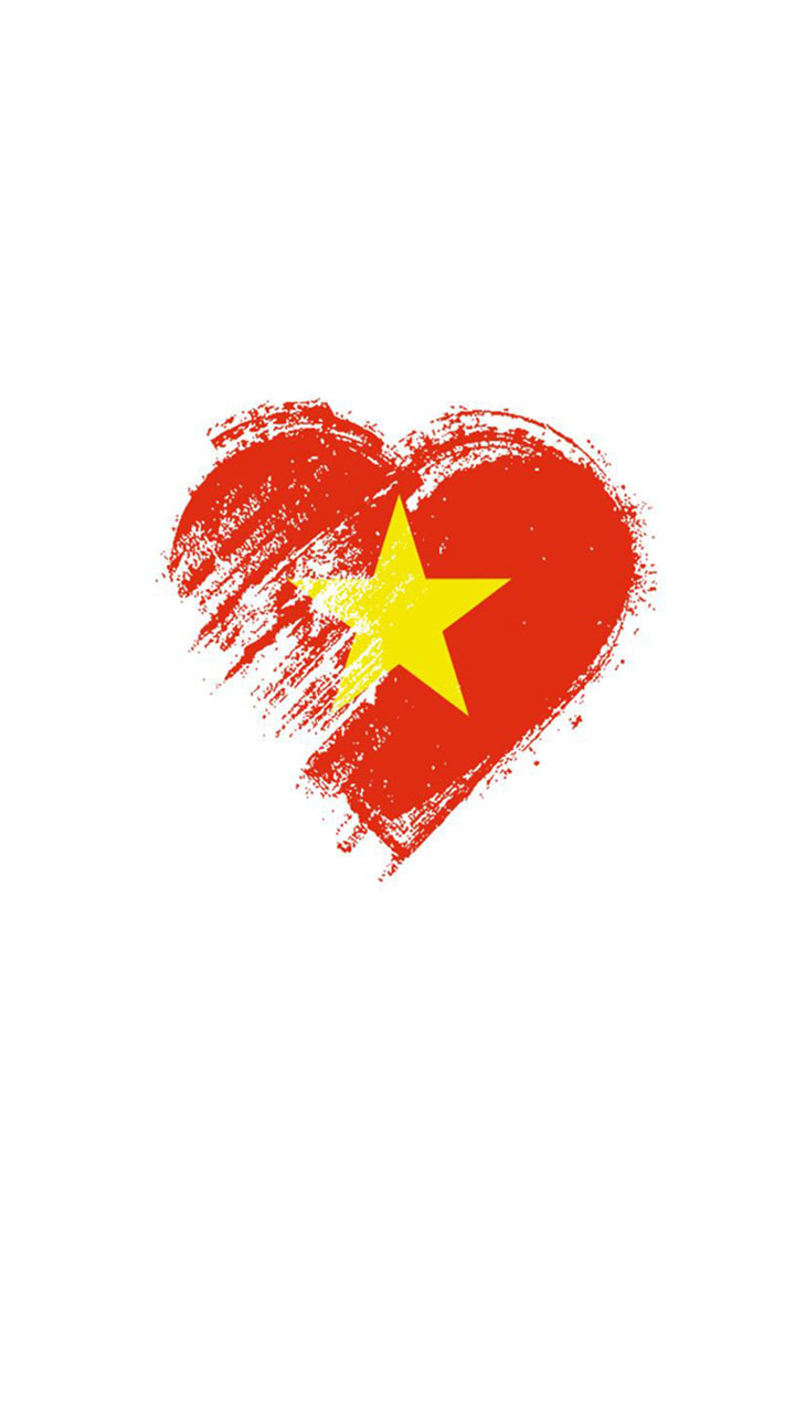 Hướng dẫn thực hiện Quy định của Ban Bí thư về cờ Đảng Cộng sản Việt Nam và  việc sử dụng cờ Đảng
