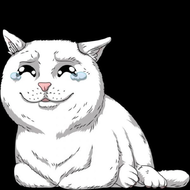 Danh sách những bức ảnh Meme mèo khóc hài hước, dễ thương và độc đáo nhất