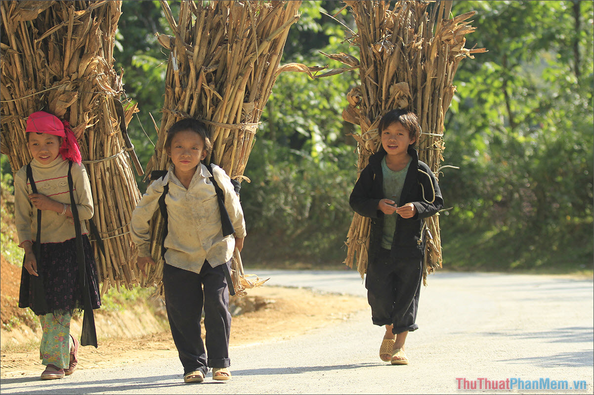 Tinh Hoa Trẻ Thơ - Câu Nói Hay và Ý Nghĩa