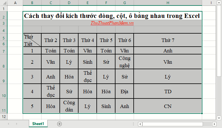 Cách điều chỉnh kích thước dòng, cột, ô đồng đều trong Word và Excel