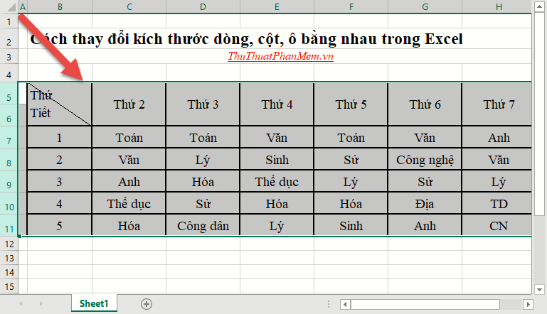 Cách điều chỉnh kích thước dòng, cột, ô đồng đều trong Word và Excel